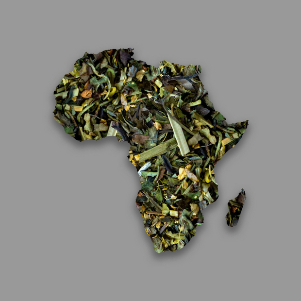 Spiced White Tea | Serengeti Trail African Tea