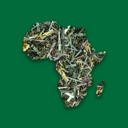 Citrus Mint Green Tea | Zimbabwe Hearts African Tea